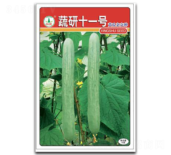 ����11̖-�S�ϷN��-�d�߷N�I(y��)