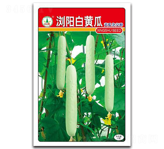 �gꖰ��S��-�S�ϷN��-�d�߷N�I(y��)