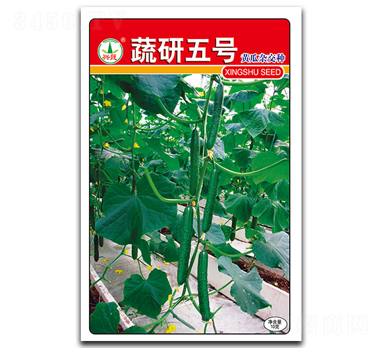 ������̖-�S�ϷN��-�d�߷N�I(y��)