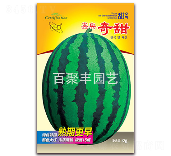 �ΊW����-���ϷN��-�پ��S