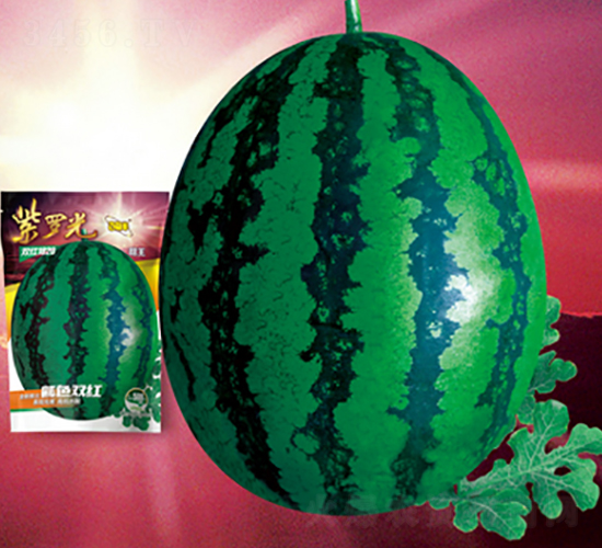 ���_��-���ϷN��-�پ��S