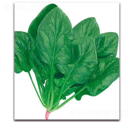 ���m�ö�����-���˷N��-�A�r(n��ng)�N�I(y��)