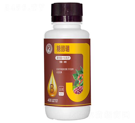 �Ǵ���-�η�