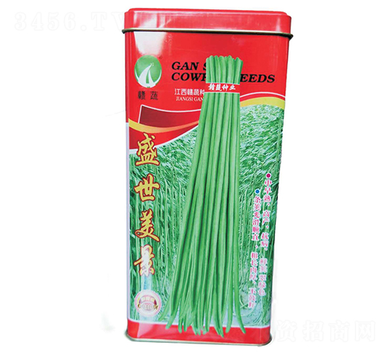 ʢ������-�����N��-�M�߷N�I(y��)