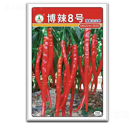 ����8̖-�����N��-�d�߷N�I(y��)