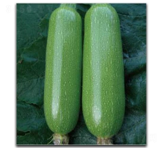 ������̖-�����J�N��-�մ��r(n��ng)�I(y��)