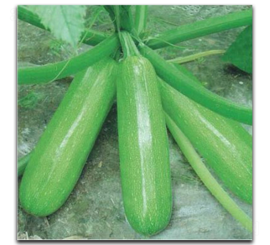 ����̫��-�����J�N��-�մ��r(n��ng)�I(y��)