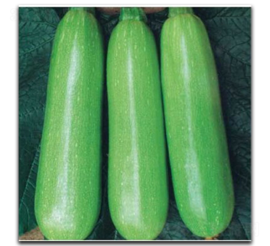 ��������-�����J�N��-�մ��r�I(y��)