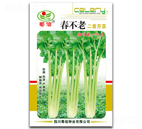 春不老二黃芹菜-芹菜種子-蜀信種業(yè)