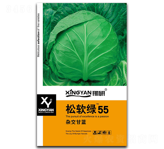 ��ܛ�G55-���{(l��n)�N��-���зN�I(y��)