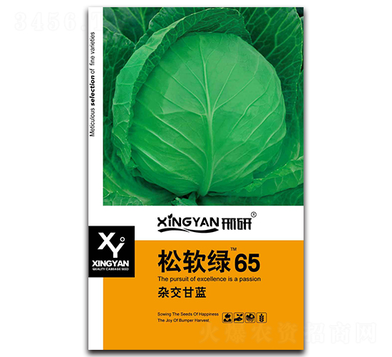 ��ܛ�G65-���{�N��-���зN�I(y��)