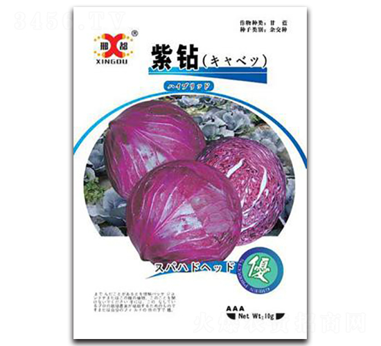 ���@-���{(l��n)�N��-���зN�I(y��)