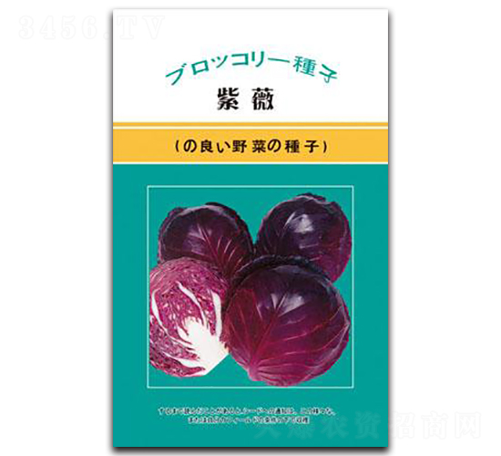 ��ޱ-���{�N��-���зN�I(y��)