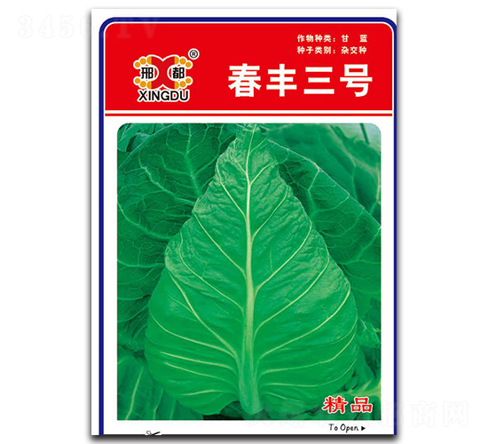 ���S��̖(h��o)-���{(l��n)�N��-���зN�I(y��)