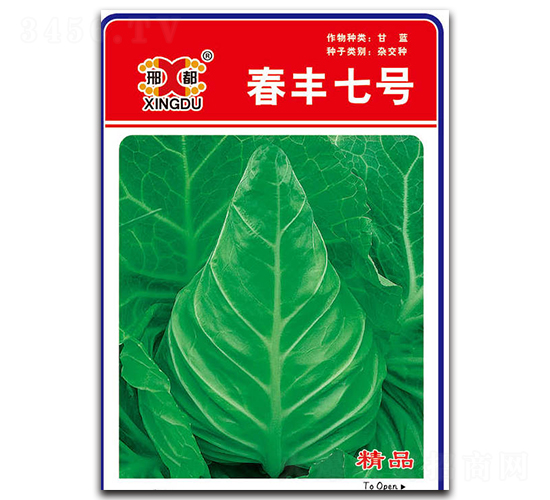 ���S��̖(h��o)-���{(l��n)�N��-���зN�I(y��)