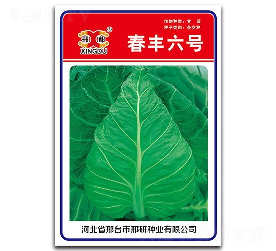 ���S��̖-���{�N��-���зN�I(y��)