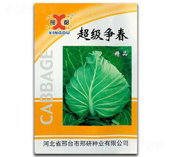 ����(j��)��(zh��ng)��-���{(l��n)�N��-���зN�I(y��)