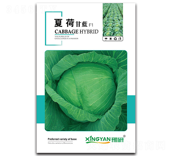 �ĺ�-���{�N��-���зN�I(y��)