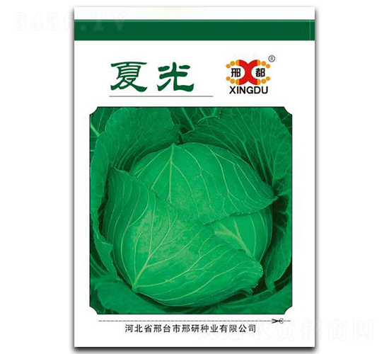 �Ĺ�-���{(l��n)�N��-���зN�I(y��)