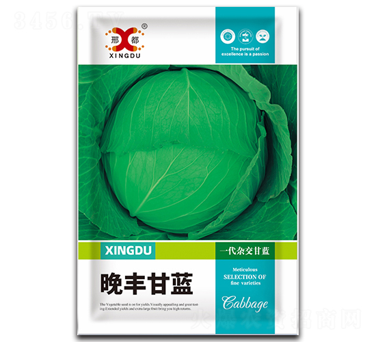 ���S-���{(l��n)�N��-���зN�I(y��)