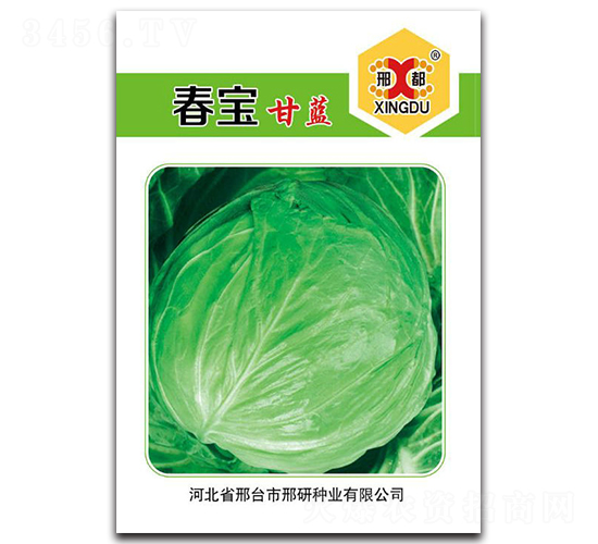 ����-���{(l��n)�N��-���зN�I(y��)