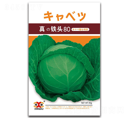 ���F�^80-���{(l��n)�N��-���зN�I(y��)