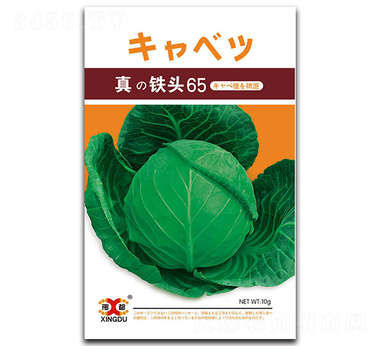 ���F�^65-���{�N��-���зN�I(y��)