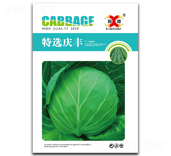 ���x�c�S-���{(l��n)�N��-���зN�I(y��)