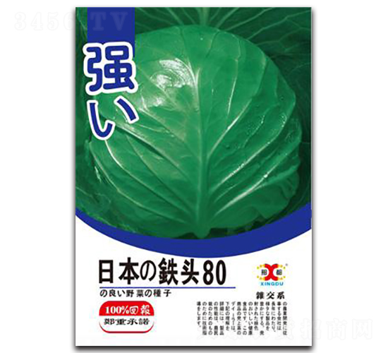 �ձ��F�^80-���{(l��n)�N��-���зN�I(y��)