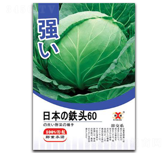 �ձ��F�^60-���{�N��-���зN�I(y��)