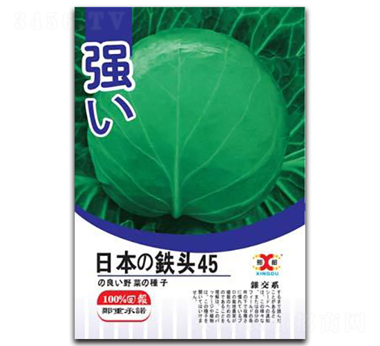 �ձ��F�^45-���{�N��-���зN�I(y��)