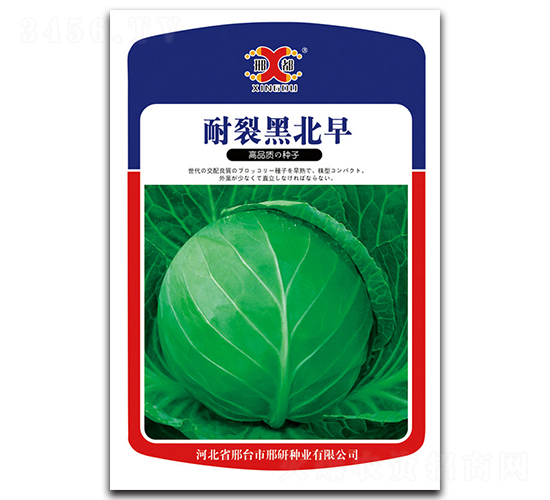 ���Ѻڱ���-���{�N��-���зN�I(y��)