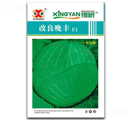 �������S-���{(l��n)�N��-���зN�I(y��)