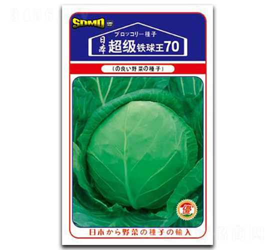 �����F����70-���{(l��n)�N��-���зN�I(y��)