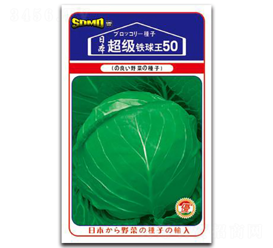 ����(j��)�F����50-���{(l��n)�N��-���зN�I(y��)