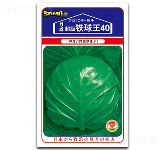 ����(j��)�F����40-���{(l��n)�N��-���зN�I(y��)