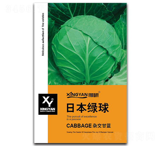 �ձ��G��-���{(l��n)�N��-���зN�I(y��)