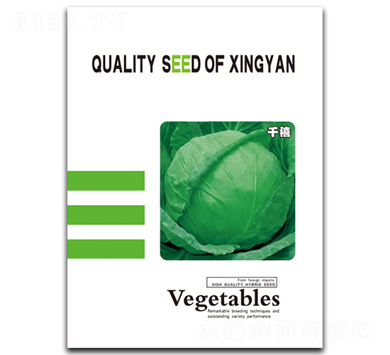 ǧ��-���{(l��n)�N��-���зN�I(y��)