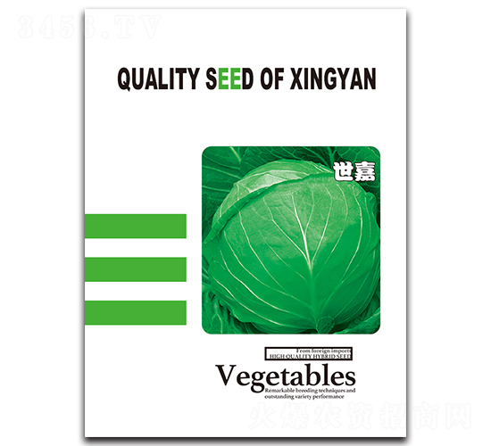 ����-���{(l��n)�N��-���зN�I(y��)