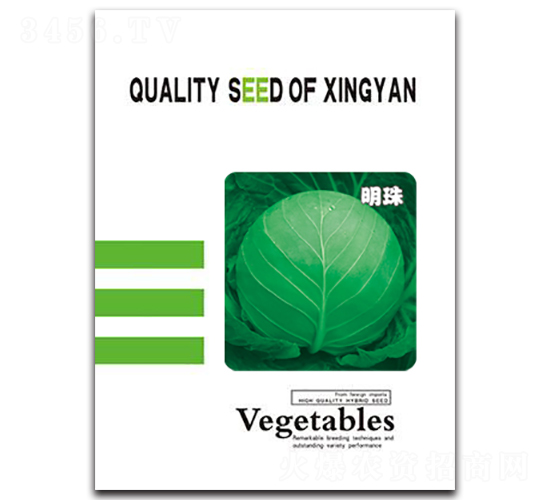 ����-���{(l��n)�N��-���зN�I(y��)