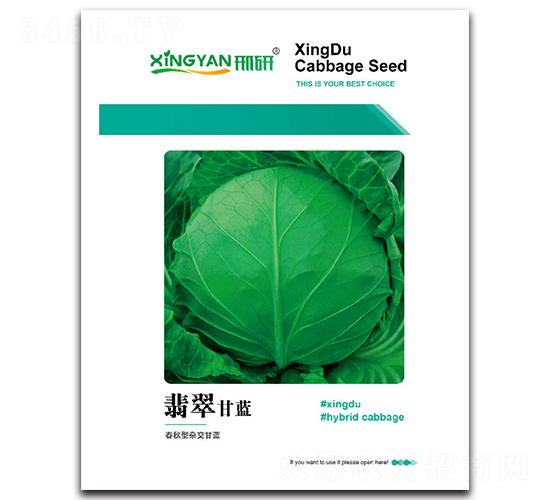 翡翠-甘藍(lán)種子-邢研種業(yè)