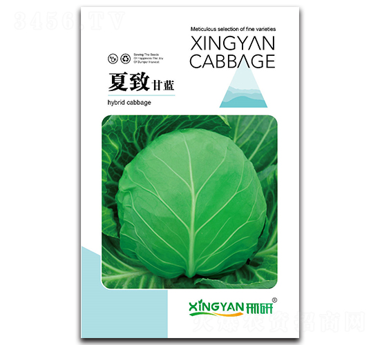 ����-���{�N��-���зN�I(y��)