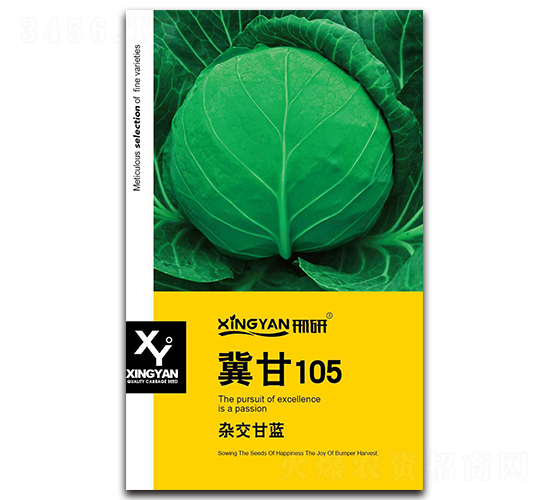 ����105-���{(l��n)�N��-���зN�I(y��)