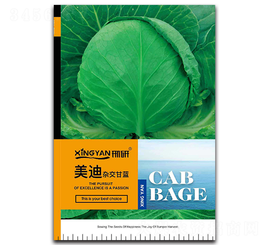 ����-���{(l��n)�N��-���зN�I(y��)