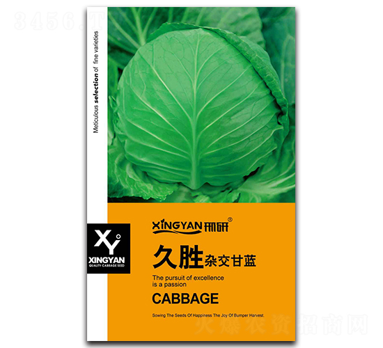 �Ä�-���{�N��-���зN�I(y��)