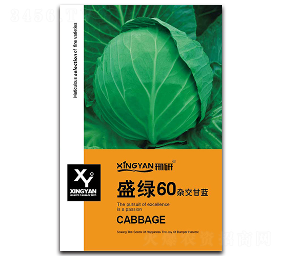 ʢ�G60-���{(l��n)�N��-���зN�I(y��)