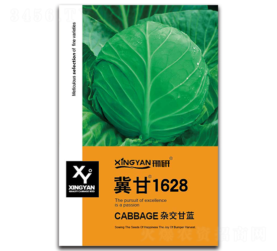 冀甘1628-甘藍種子-邢研種業(yè)