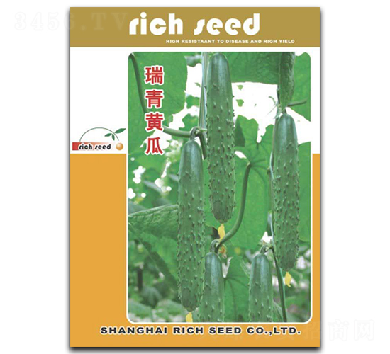 �����S��-�S�ϷN��-����N�I(y��)