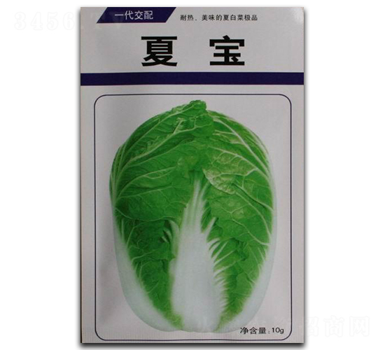 夏寶-白菜種子-瑞奇種業(yè)