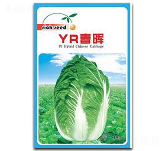 YR春暉-白菜種子-瑞奇種業(yè)